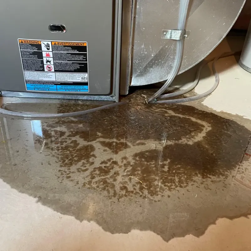 Appliance Leak Cleanup in Kalaoa, HI